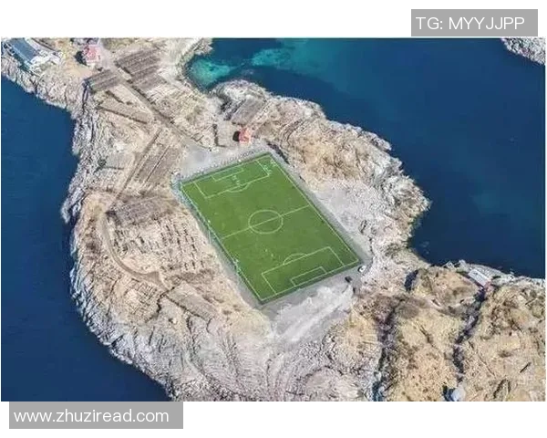 深入探索足球书籍的魅力与知识，提升你的足球理解与欣赏能力